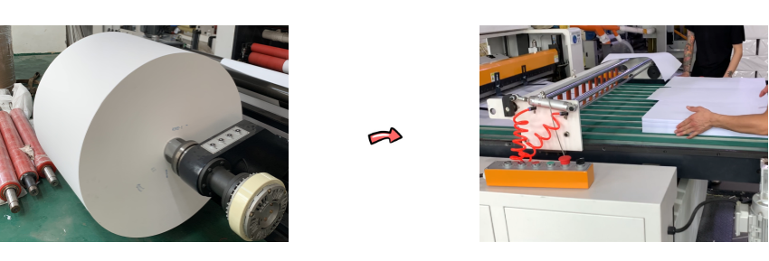 TPC conveyor collection - non stop structure